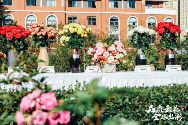 云花产业发展政策解读