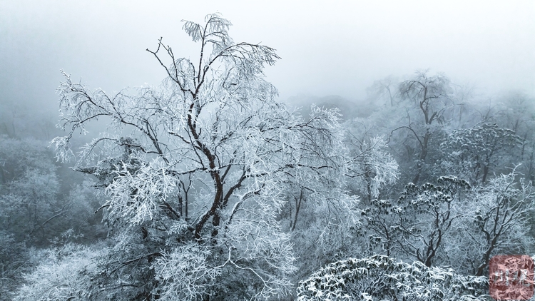 （转载）玉树琼枝裹银装 绵阳千佛山成冰雪仙界