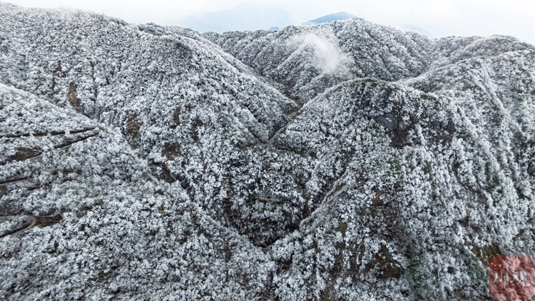 （转载）玉树琼枝裹银装 绵阳千佛山成冰雪仙界