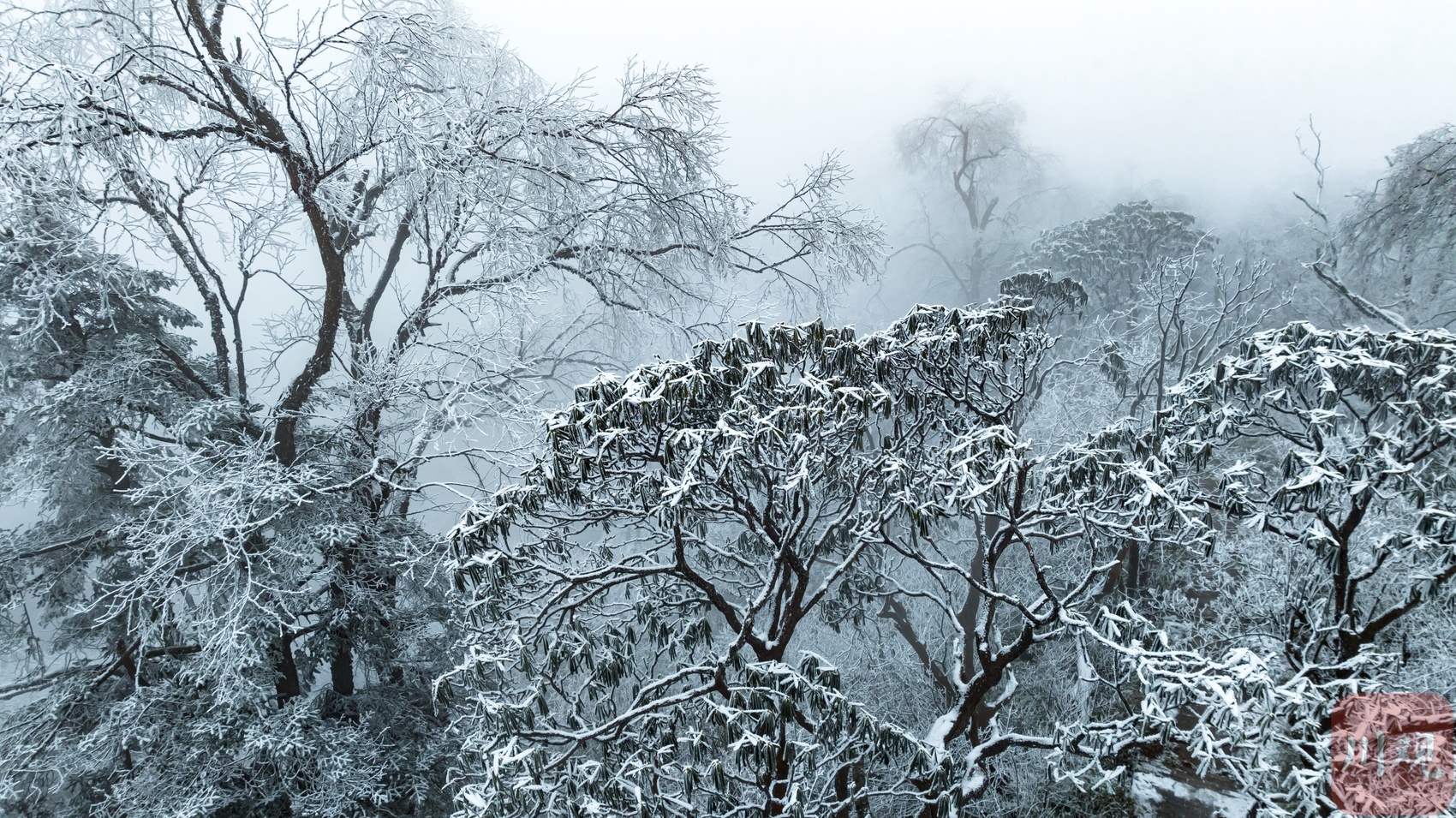 （转载）玉树琼枝裹银装 绵阳千佛山成冰雪仙境