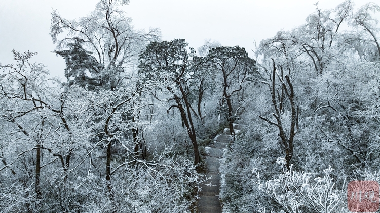 （转载）玉树琼枝裹银装 绵阳千佛山成冰雪仙界