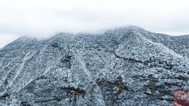 （转载）玉树琼枝裹银装 绵阳千佛山成冰雪仙界