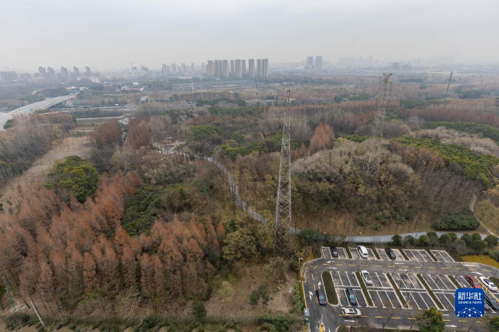 【聚焦上海-滚动图】上海首批环城生态公园建成开放_fororder_2
