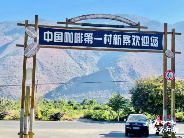 从豆到杯 云南咖啡到底好在哪