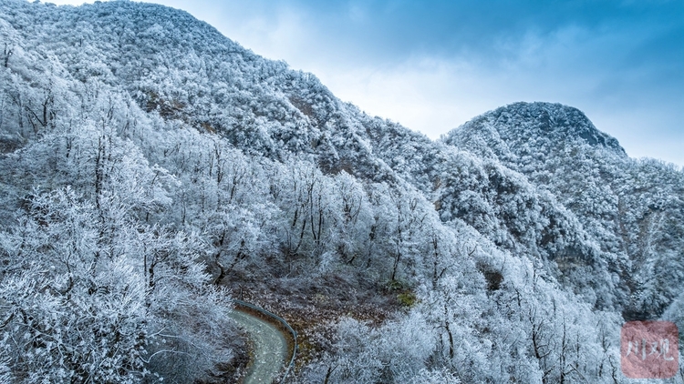 （转载）玉树琼枝裹银装 绵阳千佛山成冰雪仙界