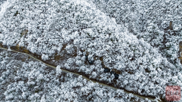 （转载）玉树琼枝裹银装 绵阳千佛山成冰雪仙界