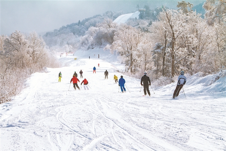 第二十届亚布力滑雪节启幕
