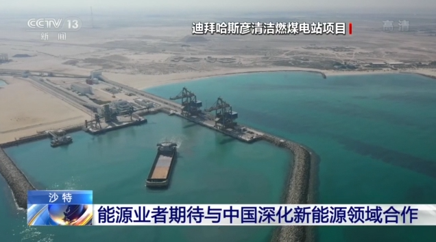 沙特能源业者期待与中国深化新能源领域合作
