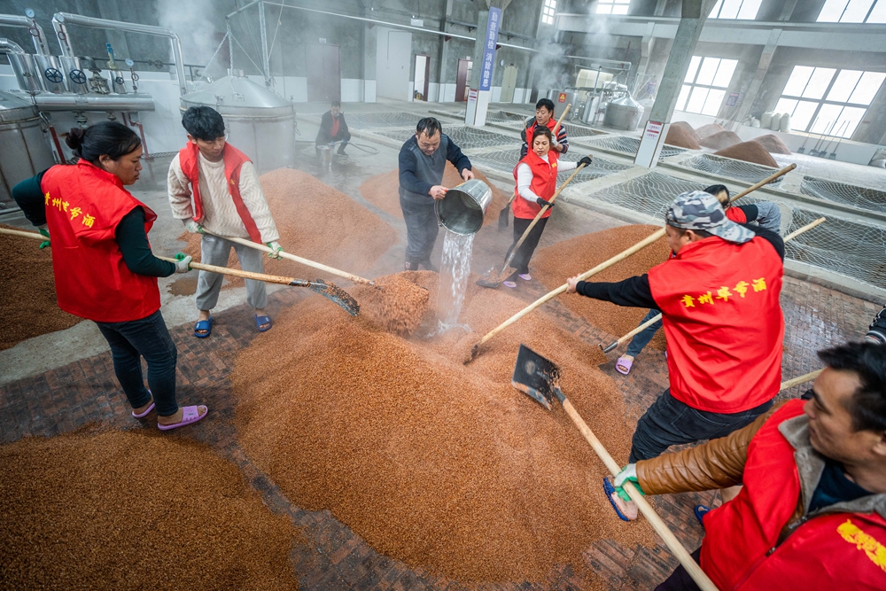 贵州毕节：初冬下沙酿酒忙_fororder_2022年12月3日，工人在贵州毕节酒厂的制酒车间里制曲。 (4)