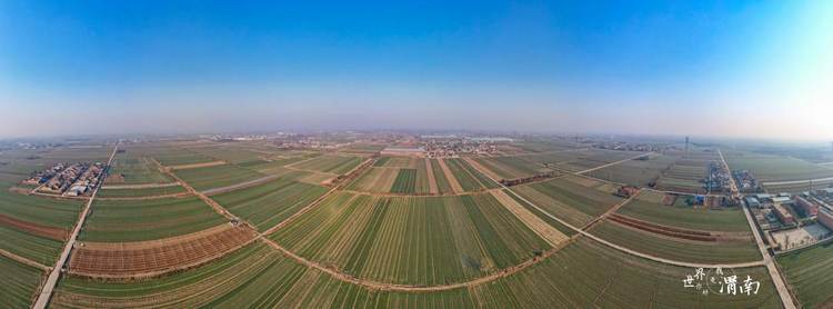 2022年渭南市完成45.5万亩高标准农田建设_fororder_图片2