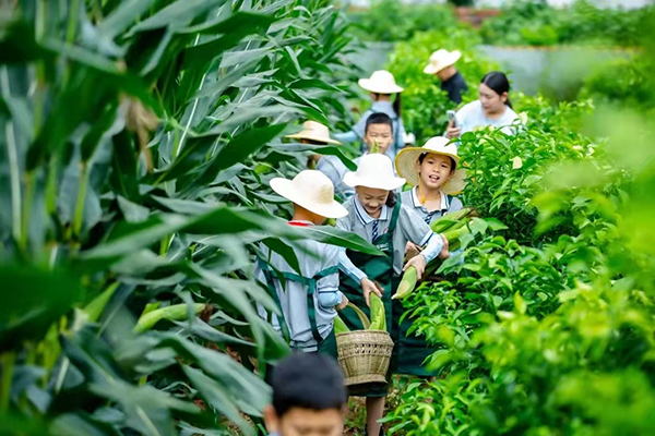 省级全域旅游示范区_fororder_成都向东耕学田园-供图-金堂县委宣传部