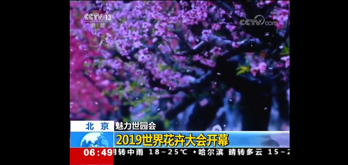 图片默认标题_fororder_《影响世界的中国植物》宣传片二