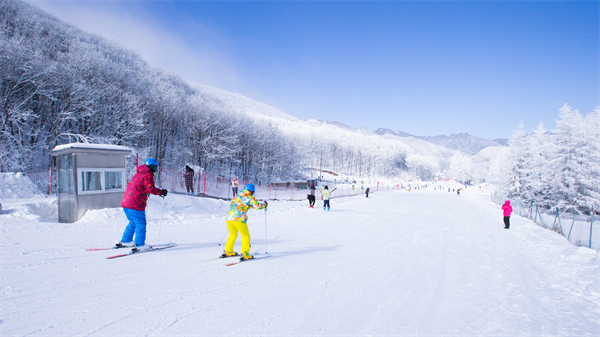 12月9日起，神农架各大滑雪场陆续“开板”_fororder_图片15
