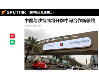 俄罗斯卫星通讯社网站：