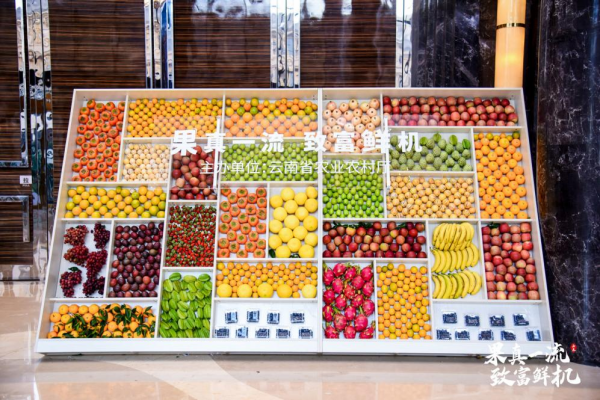 2022年云南省水果产业宣传推介活动在昆举行