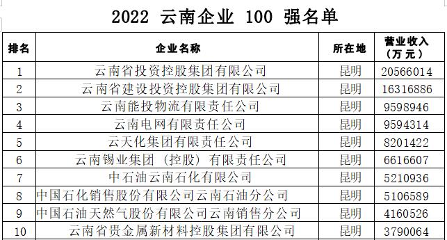 2022云南企业100强_fororder_1