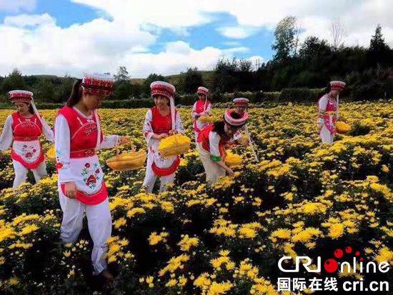 贵州六盘水：特色农产业不断发展和壮大