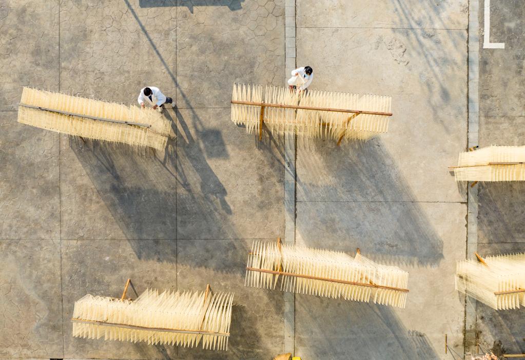 安徽肥东：“非遗”手工挂面飘香助增收