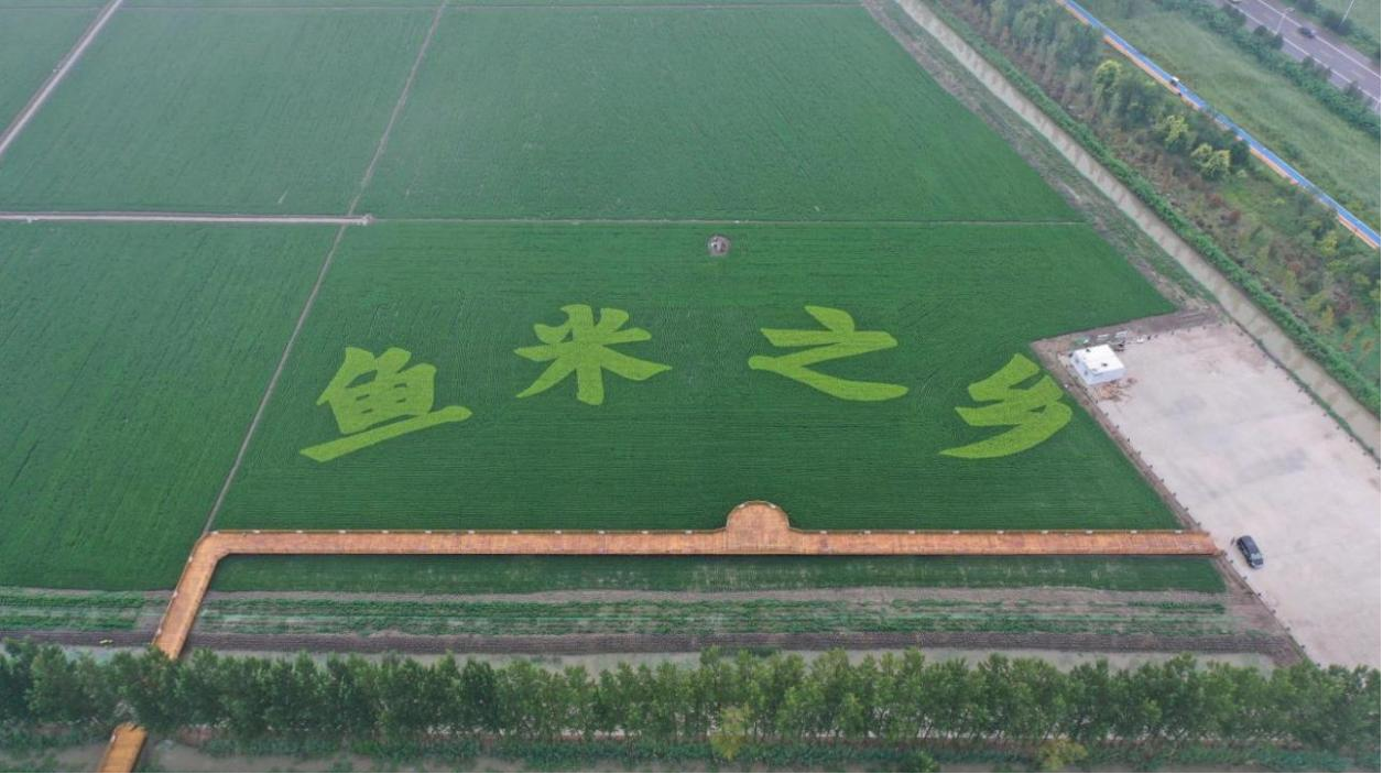 （原创）雄安新区：建设国家级一流园区基地 打造中国式农业现代化雄安场景_fororder_图片4