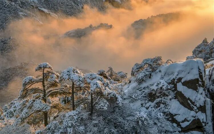 世界的黃山 黃山的世界——由春之中國屯溪“國際會客廳”到冬之黃山市國際高端“1+6”圓桌對話會的回眸_fororder_微信圖片_20221216090034