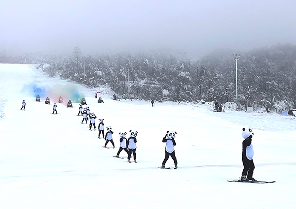 成都西岭雪山冰雪节开幕 游客可免费玩雪地足球和雪地冰壶_fororder_熊猫滑雪表演-摄影-尹娱