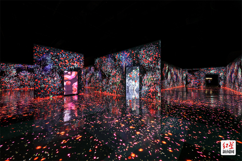 （转载）全球知名沉浸式美术馆ARTE MUSEUM落馆成都
