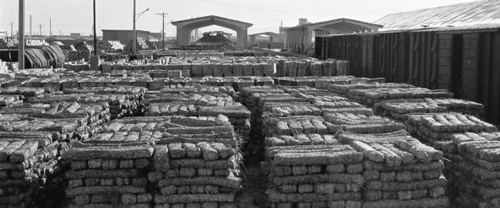 我在现场·我们都是追梦人｜追随着“天路”在故乡延伸的脚步