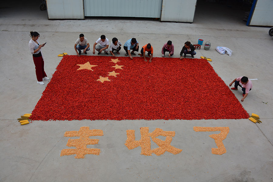 Luoyang: Yichuan farmers make national flag with peppers