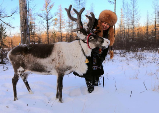 12月17日 央视节目《山水间的家》邀您来看“驯鹿部落”_fororder_3