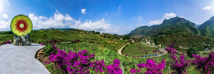 六盤水市水城區:“五型”村居固成果 鄉村振興開新局