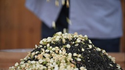 福州：茉莉花茶的傳統窨制工藝