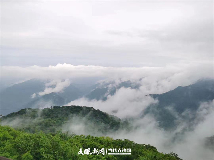 “中国山水工程”入选联合国首批十大“世界生态恢复旗舰项目”贵州省两个生态修复工程在列！