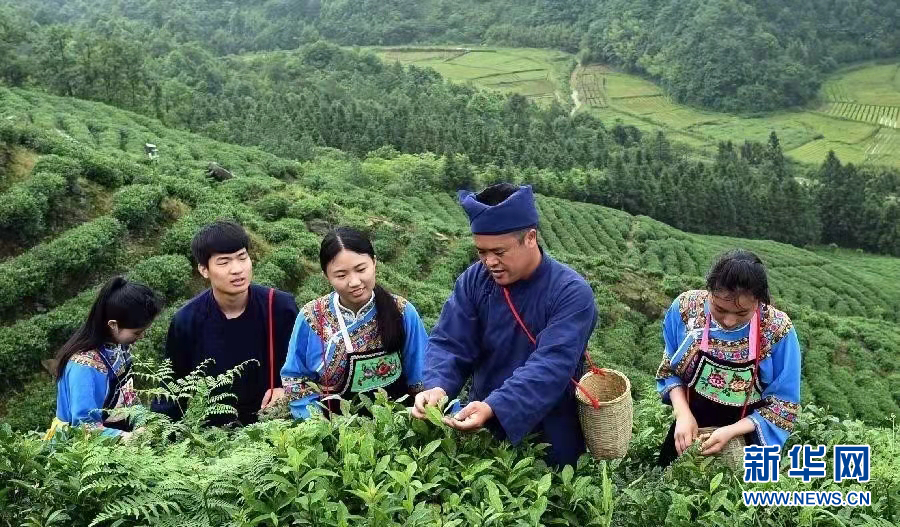 非遺傳承人張子全用“三心”做好茶