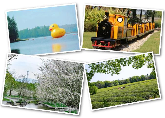 浙江兰溪：兰湖旅游度假区将免费对外开放！美景美游将“近在咫尺”_fororder_图片3