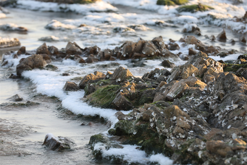 山东日照：解锁冬日美景 海边出现冰凌景观