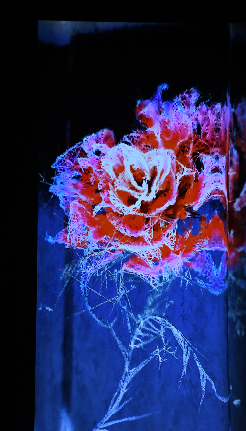 【原创】2022济南国际双年展：272件艺术精品讲述“共生世界”_fororder_图片8