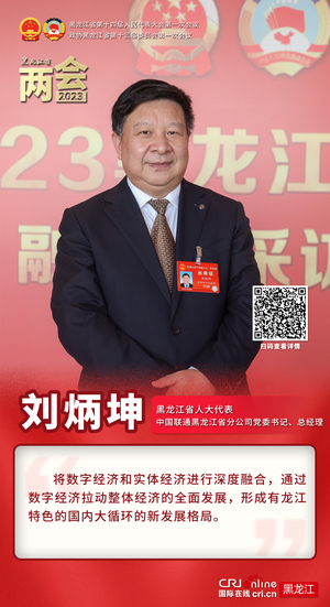 黑龙江省人大代表刘炳坤：逐浪数字经济 为龙江高质量发展赋能增效_fororder_微信图片_20230116141157
