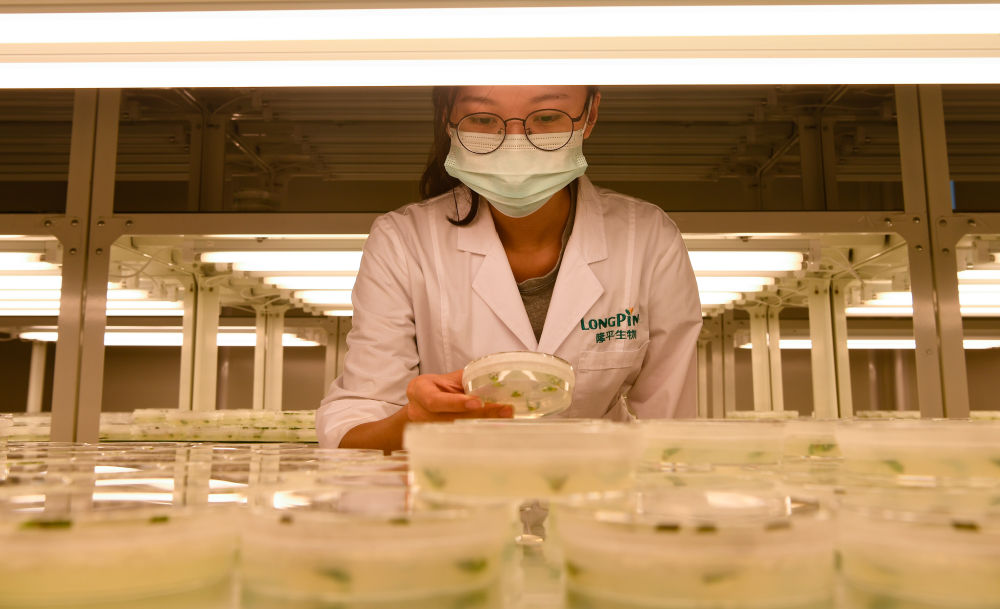 以习近平同志为核心的党中央引领推进新时代农业农村现代化事业述评