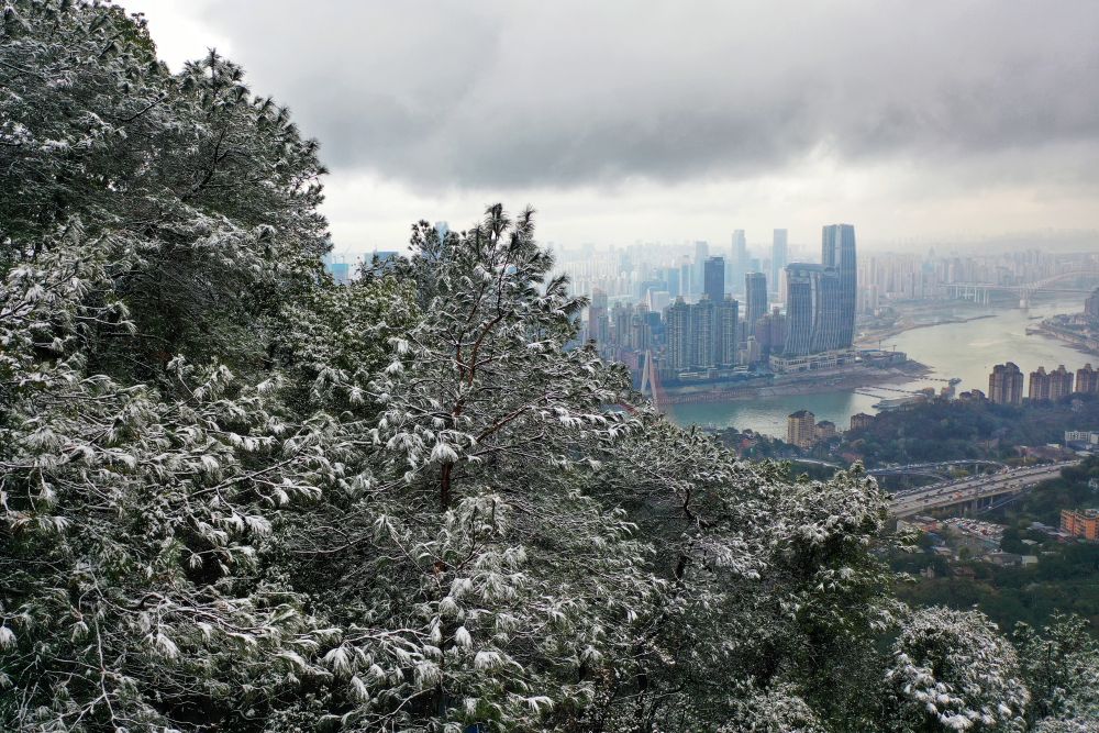 【城市远洋】重庆：雪润大地 景色如画