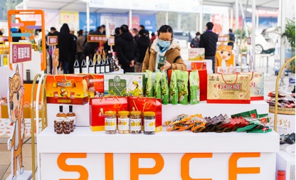 首届中国（四川）国际熊猫消费节达州分会场启动——熊猫匠心走全球 火力全开促消费