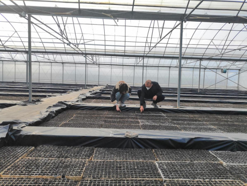 冬日无闲育苗忙 孕育一年新希望