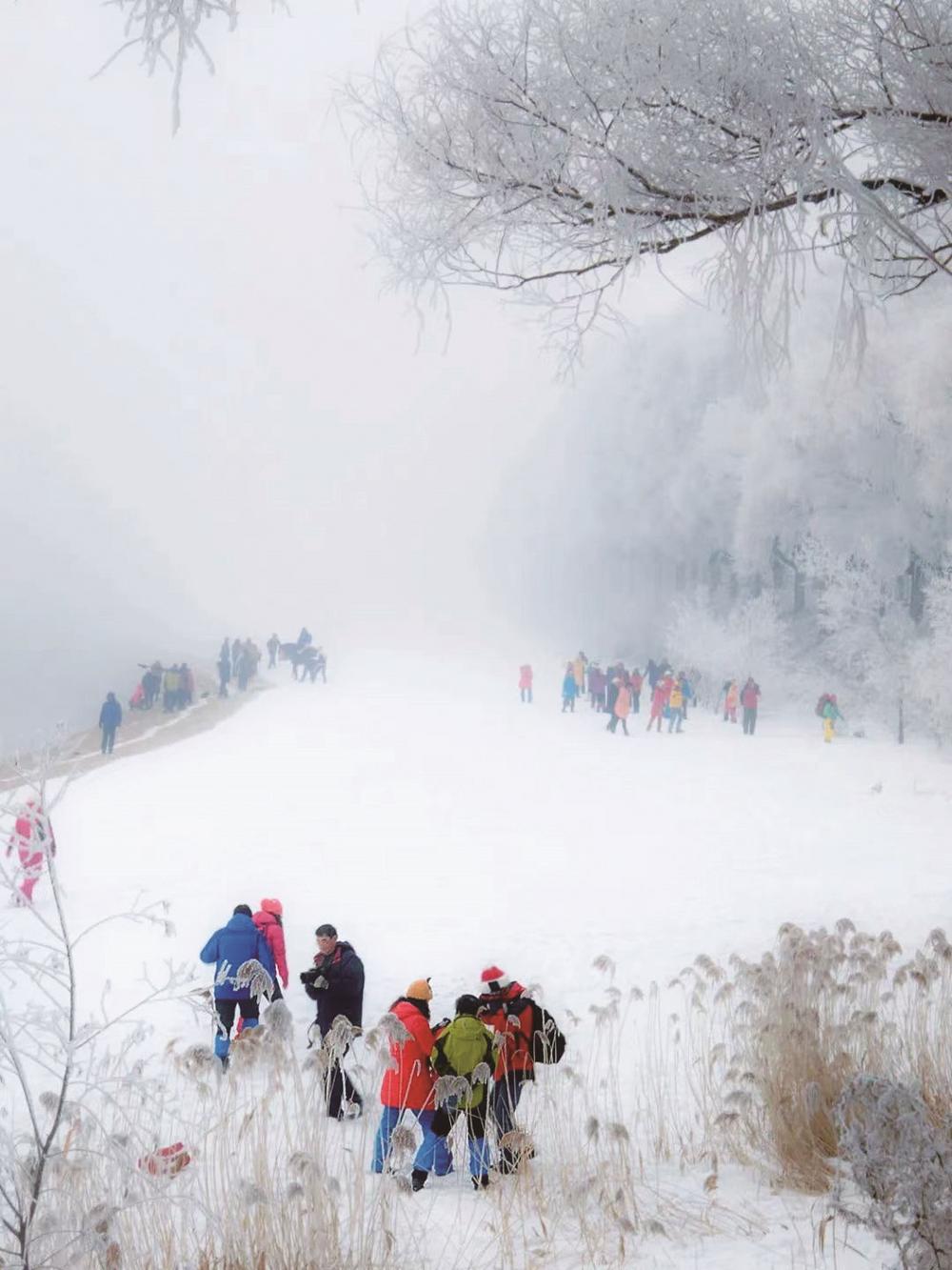 吉林市：滑雪天堂 燃情热“雪”_fororder_在松花江畔，游人欣赏着雾凇美景，畅游在“童话世界”里。
