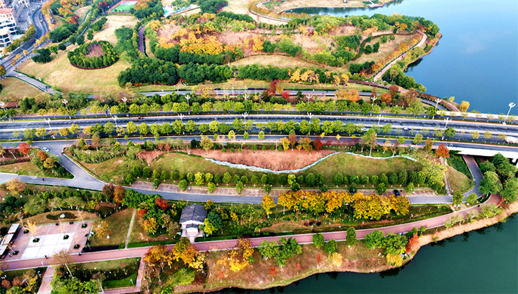 公园建设 增绿添彩惠民生_fororder_航拍仁寿湿地公园-供图-仁寿县委