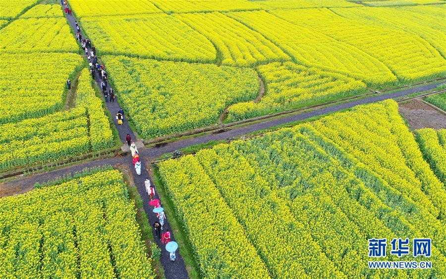 湖南衡陽：花開春意濃