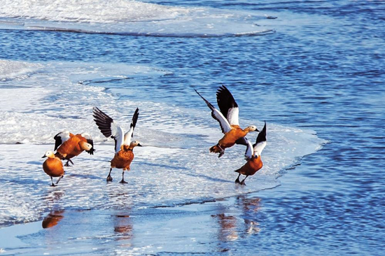 圖片默認標題_fororder_1 eabeaaf1-aaed-41d4-a390-f3972b0e8f05_副本