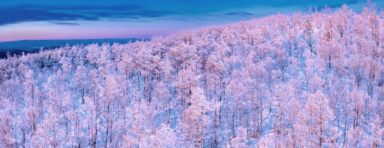 冬日莫尔道嘎：一路向北，越冷越热心_fororder_雪精灵散落人世。武飞虎  拍摄