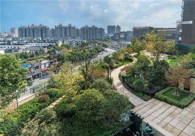 【圖説上海】上海2022年立體綠化總量達550萬平米以上