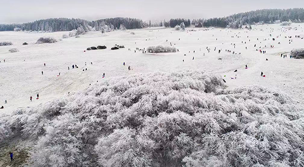 【原创】重庆武隆仙女山滑雪场12月28日正式对外开放_fororder_图片2