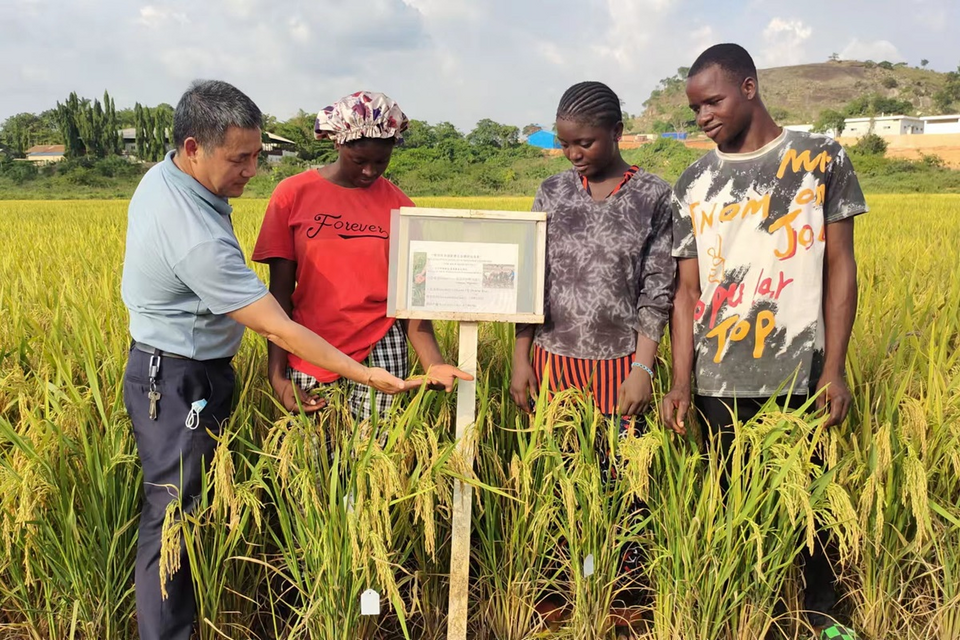 “非”说不可2022丨中非友谊看得见 合作成果摸得着