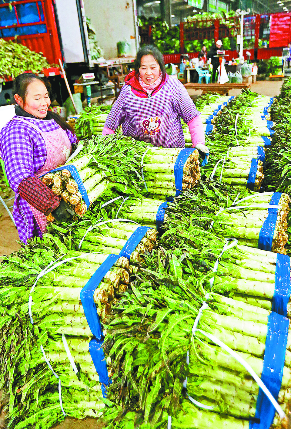 重庆：春节消费市场物丰价稳年味浓